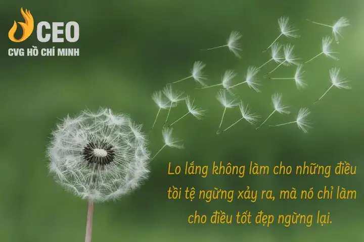 những câu nói chán đời hay