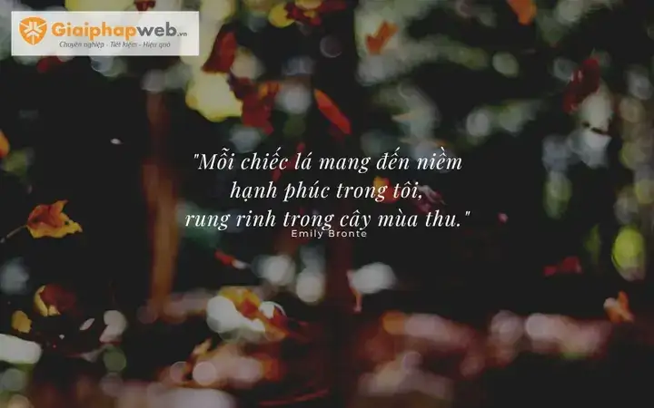 câu nói hay về mùa thu đông câu nói hay về mùa thu đông