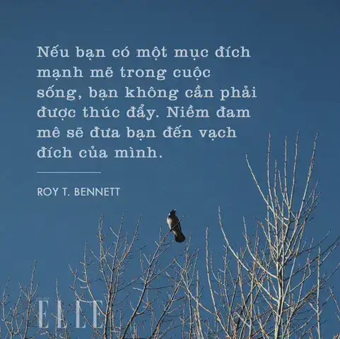 câu nói hay về lẽ sống câu nói hay về lẽ sống