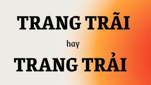 trang trãi hay trang trải