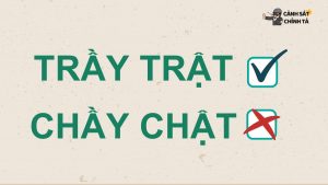 Trầy trật hay chầy chật