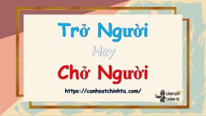 trở người hay chở người