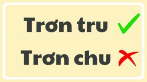 Trơn tru hay trơn chu đâu là từ đúng chính tả