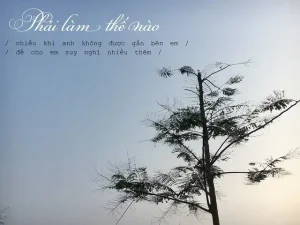 là vài câu nói chưa kịp nghĩ tới