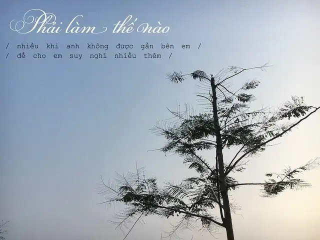 là vài câu nói chưa kịp nghĩ tới là vài câu nói chưa kịp nghĩ tới