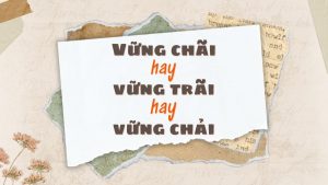 vững chãi hay vững trãi hay vững chải
