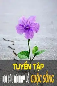 100 câu nói hay về cuộc sống