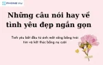 100 câu nói hay về tình yêu