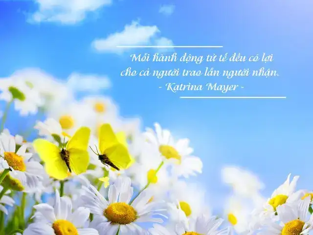 câu nói hay về sự đồng hành