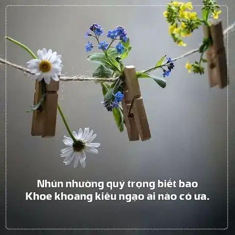 câu nói hay về lòng khiêm tốn câu nói hay về lòng khiêm tốn