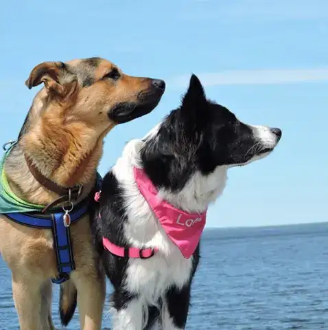 những câu nói làm tan chảy trái tim đàn ông