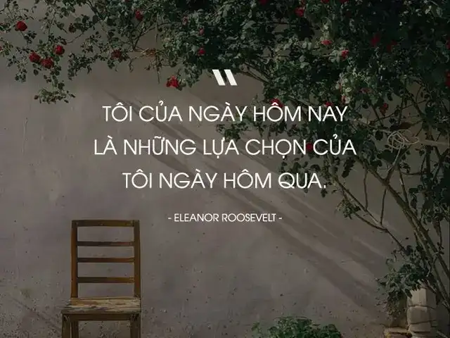 câu nói hay về sự lựa chọn trong tình yêu câu nói hay về sự lựa chọn trong tình yêu