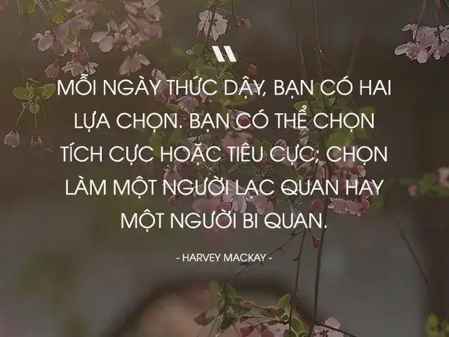 câu nói hay về sự lựa chọn trong tình yêu câu nói hay về sự lựa chọn trong tình yêu