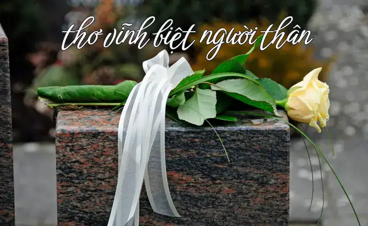 những câu nói vĩnh biệt hay nhất những câu nói vĩnh biệt hay nhất