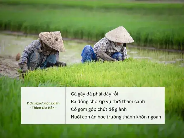 những câu nói về người nông dân những câu nói về người nông dân