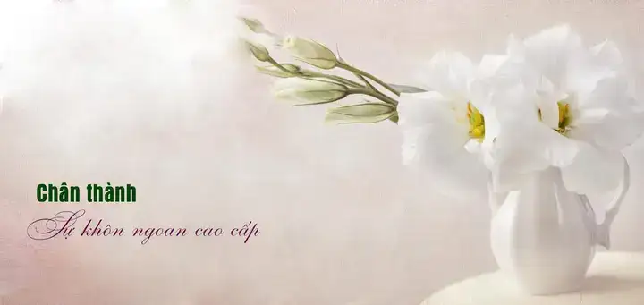 những câu nói khôn ngoan trong cuộc sống