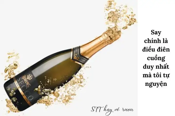 câu nói hay về rượu bia câu nói hay về rượu bia
