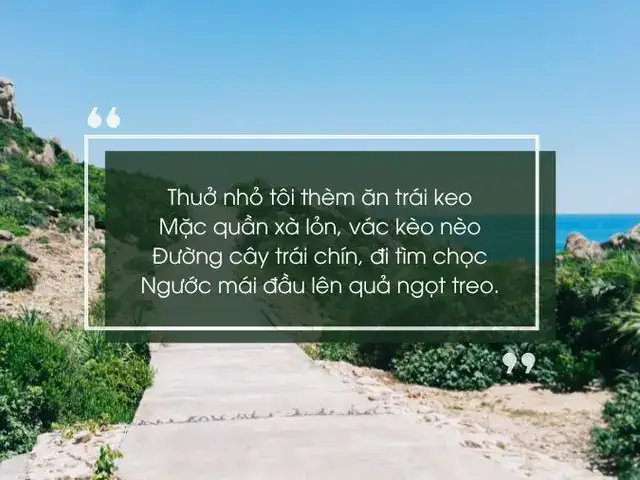câu nói hay về quy nhơn