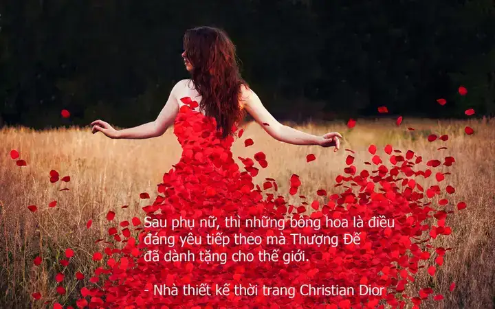 câu nói hay về phú quốc