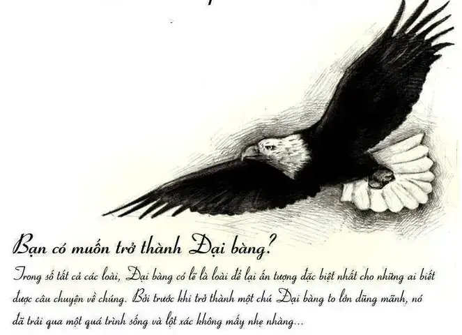 những câu nói hay về đại bàng những câu nói hay về đại bàng