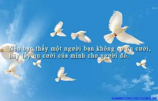 câu nói hay về nụ cười và nước mắt câu nói hay về nụ cười và nước mắt