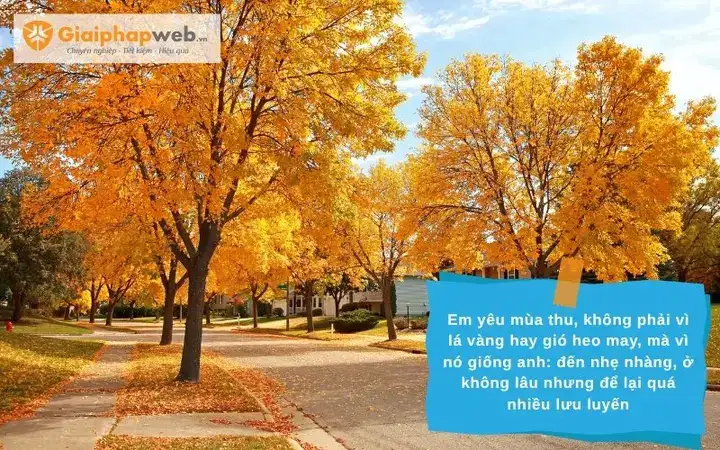 những câu nói hay về mùa thu tháng 10