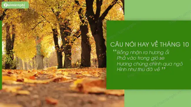 những câu nói hay về mùa thu tháng 10