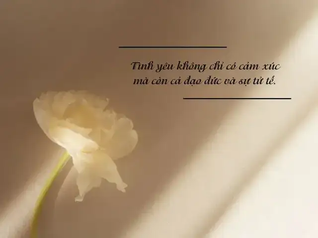 câu nói hay về người tử tế câu nói hay về người tử tế