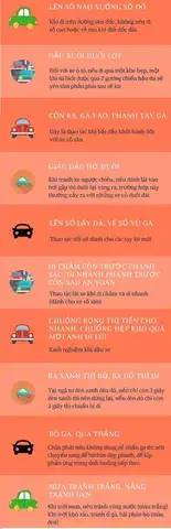 câu nói hay về người lái xe