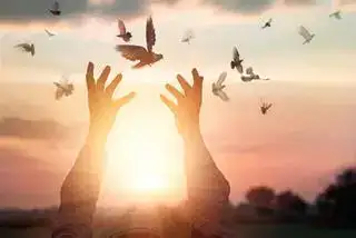 những câu nói hay về lòng khoan dung những câu nói hay về lòng khoan dung