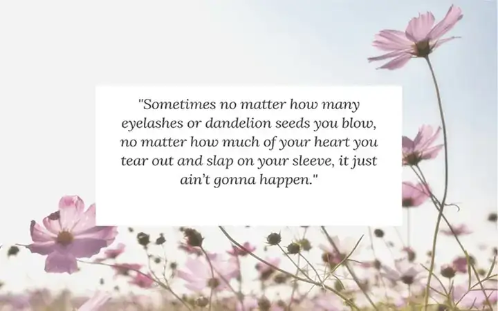 những câu nói hay về hoa giấy