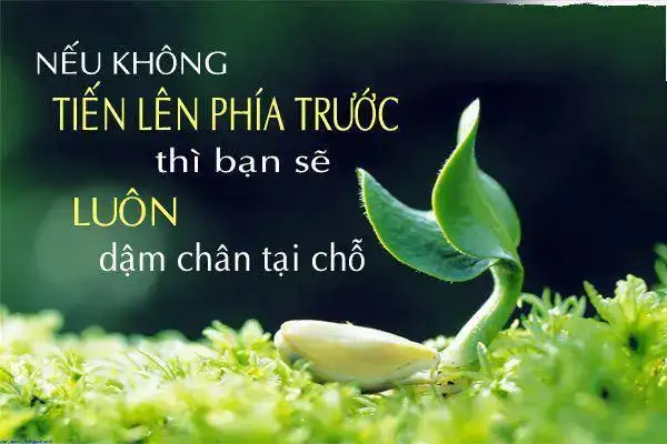 những câu nói khi thi xong những câu nói khi thi xong