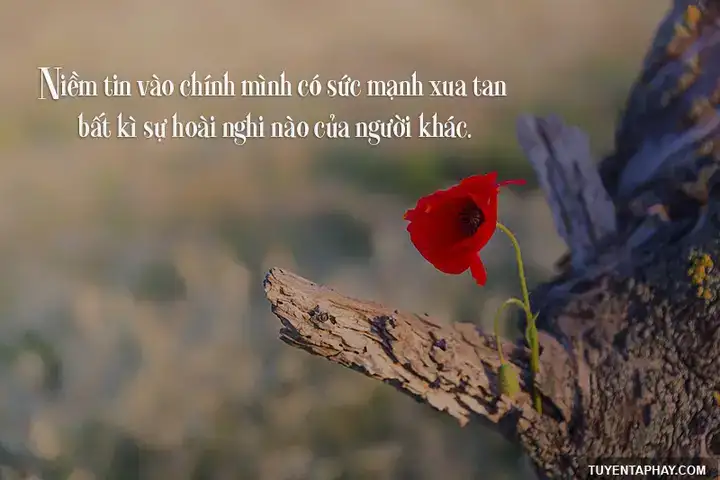 câu nói hay về nghị lực vượt qua bệnh tật