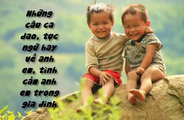 những câu nói hay về anh em trong gia đình những câu nói hay về anh em trong gia đình