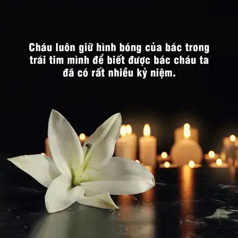 những câu nói khi mất đi người thân những câu nói khi mất đi người thân