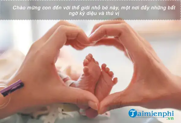 những câu nói hay khi con chào đời những câu nói hay khi con chào đời
