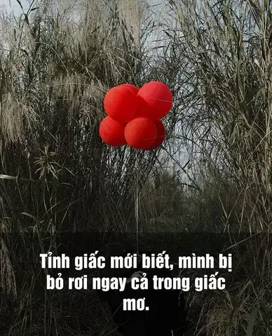 những câu nói khi bị người yêu bỏ rơi những câu nói khi bị người yêu bỏ rơi