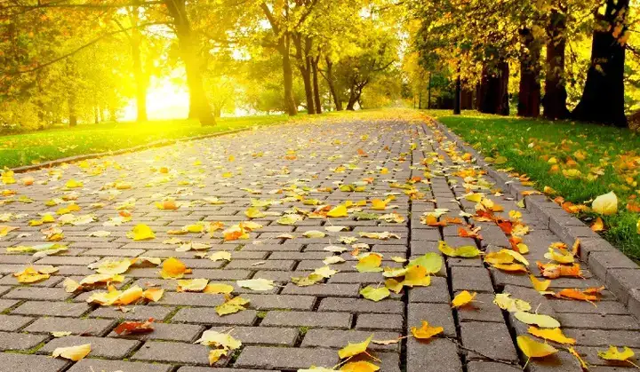 câu nói hay về mùa thu tiếng anh câu nói hay về mùa thu tiếng anh