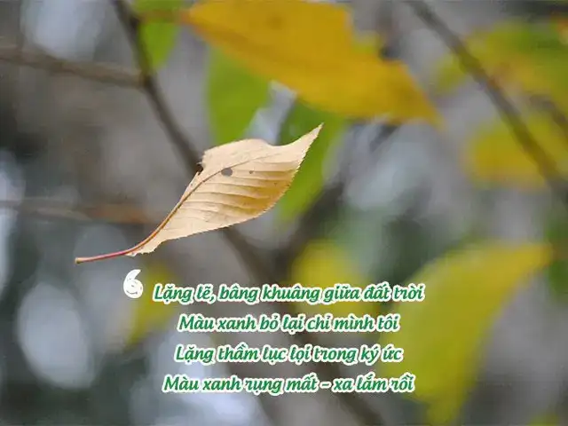 câu nói hay về màu xanh lá câu nói hay về màu xanh lá