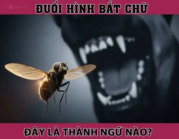 câu nói hay về may mắn câu nói hay về may mắn