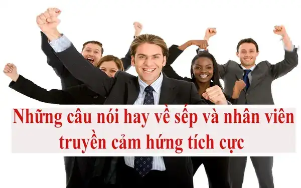 những câu nói hài hước về sếp những câu nói hài hước về sếp