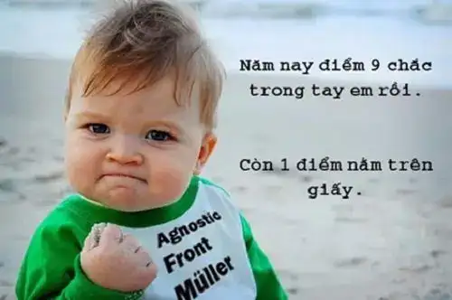 những câu nói hài hước về thi cử