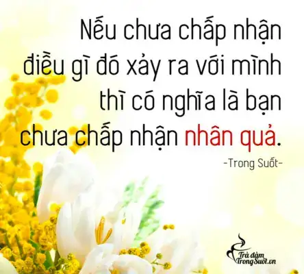 câu nói hay về luật nhân quả trong tình yêu