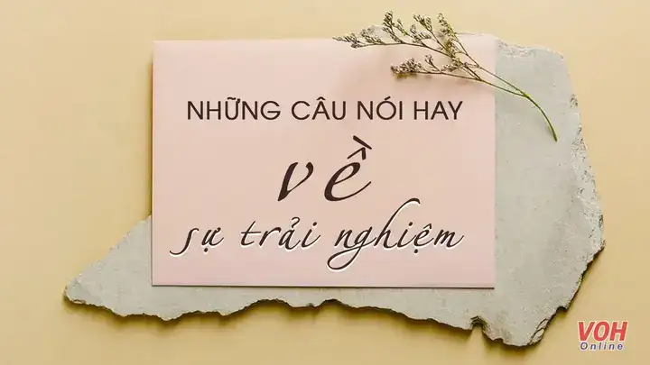 câu nói về trải nghiệm câu nói về trải nghiệm