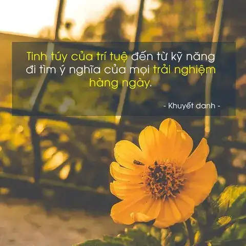 câu nói về trải nghiệm câu nói về trải nghiệm