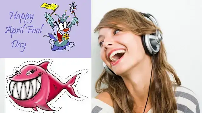 câu nói hay về sự ngu ngốc