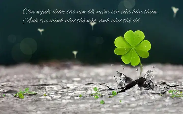 câu nói hay về niềm tin trong tình yêu