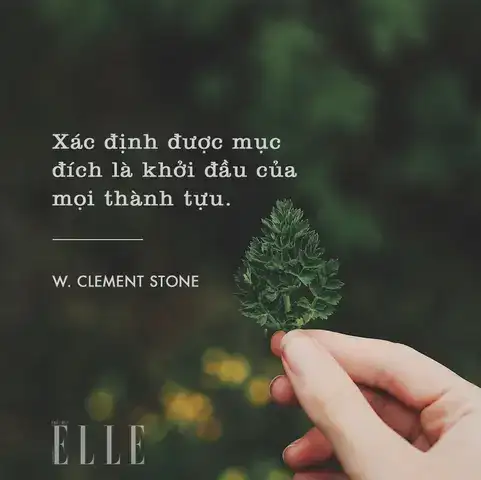 câu nói hay về mục đích sống câu nói hay về mục đích sống