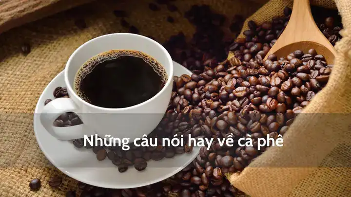 câu nói hay về capuchino câu nói hay về capuchino