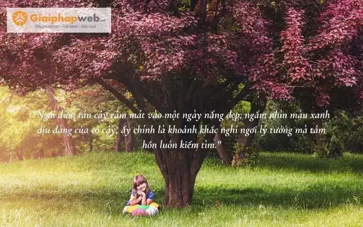 câu nói hay về cờ tướng